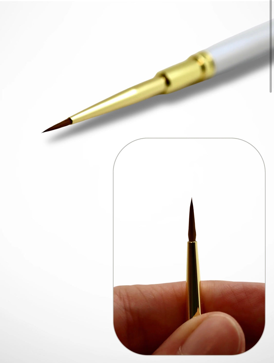Infinity Brush 10.0